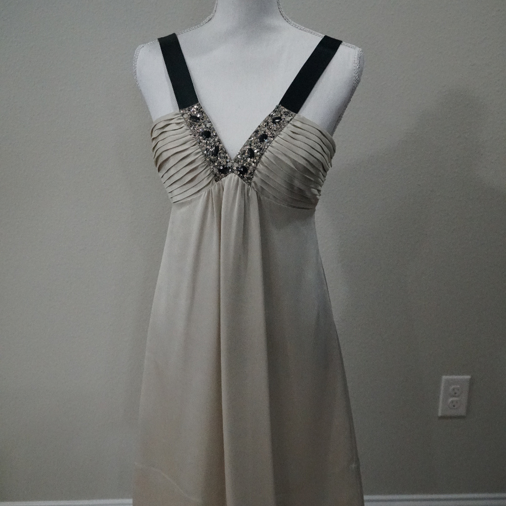 BCBGMAXAZARIA Champagne Beaded Dress - Size 6